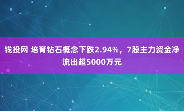 钱投网 培育钻石概念下跌2.94%,7股主力资金净流出超5000万元