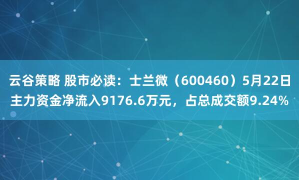 云谷策略 股市必读:士兰微(600460)5月22日主力资金净流入9176.6万元,占总成交额9.24%