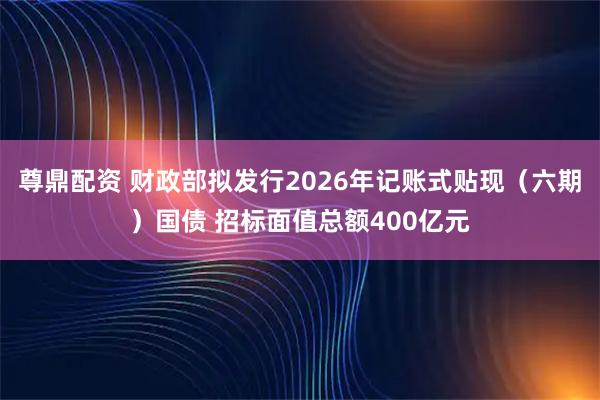 尊鼎配资 财政部拟发行2026年记账式贴现（六期）国债 招标面值总额400亿元