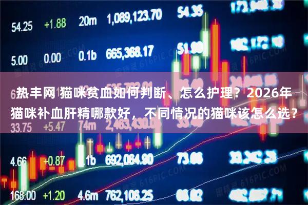 热丰网 猫咪贫血如何判断、怎么护理？2026年猫咪补血肝精哪款好，不同情况的猫咪该怎么选？